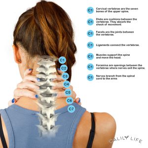 Top 15 Best Neck Traction Devices For Neck Pain Relief at Home - 2018 ...